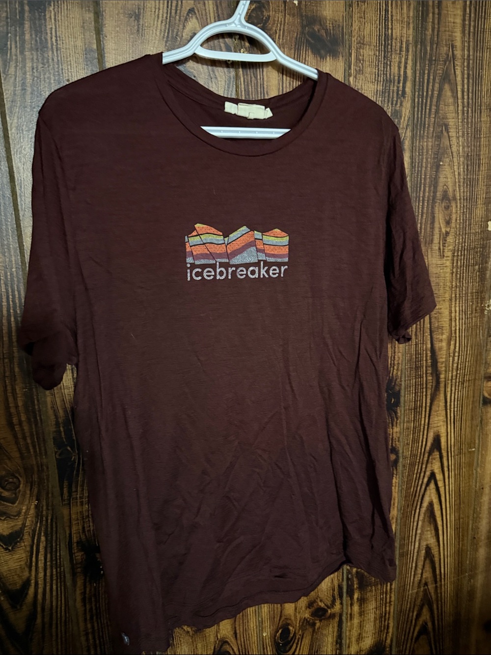 Icebreaker Maroon Graphic Logo Tee